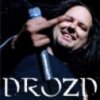 drozd